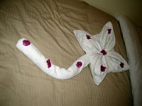 foto 077